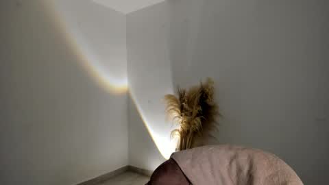 Snapshot of kim_murphy chatting on 18, 11, 2025 Kim Murphy online show from 18, 11, 2025