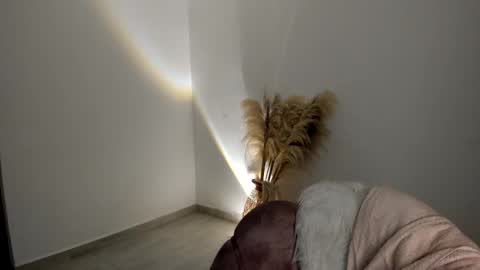 Snapshot of kim_murphy chatting on 20, 11, 2025 Kim Murphy online show from 20, 11, 2025