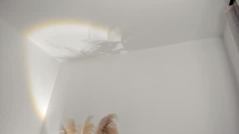 Kim Murphy online show from 19, 2, 2026