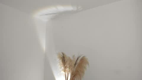 Kim Murphy online show from 1, 4, 2026