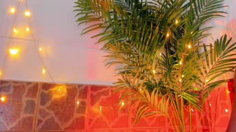 Snapshot of kimberly_gonzalez1 chatting on 17, 1, 2025 kimberly gonzalez online show from 17, 1, 2025