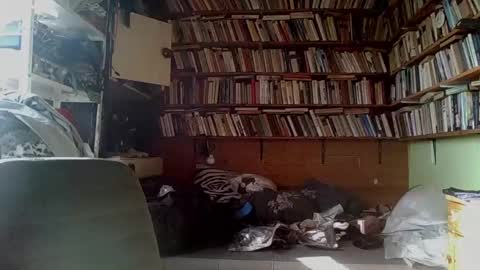 kindhate01 online show from 13, 2, 2026