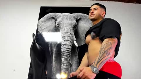 Angel Falconer online show from 31, 10, 2025