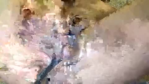 Xoxxxo online show from 27, 1, 2025