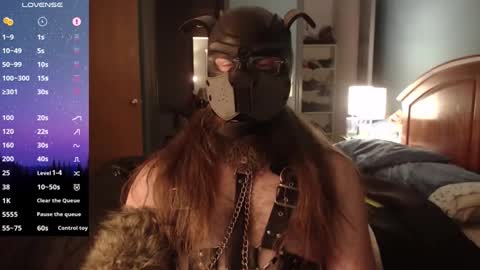 Snapshot of kinkywolf87 chatting on 3, 12, 2024 kinkywolf87 online show from 3, 12, 2024