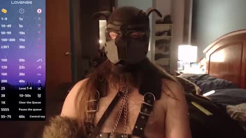 Snapshot of kinkywolf87 chatting on 20, 12, 2024 kinkywolf87 online show from 20, 12, 2024