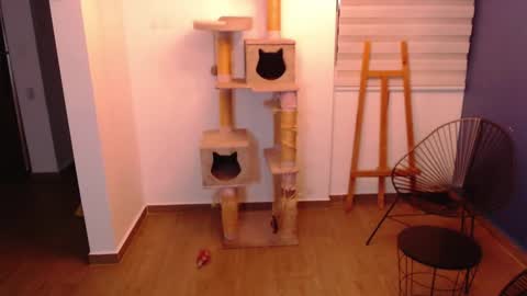 Snapshot of kintsugim chatting on 7, 11, 2025 kintsugi online show from 7, 11, 2025