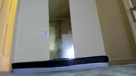 Snapshot of kira_mask chatting on 19, 5, 2026 kira_mask online show from 19, 5, 2026