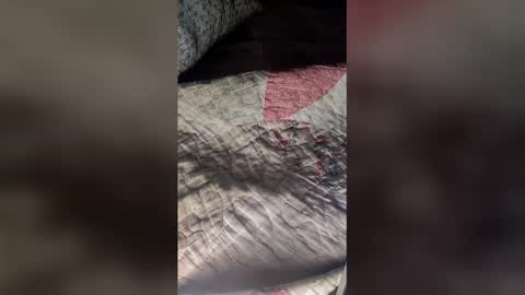 St1r4life online show from 19, 3, 2026