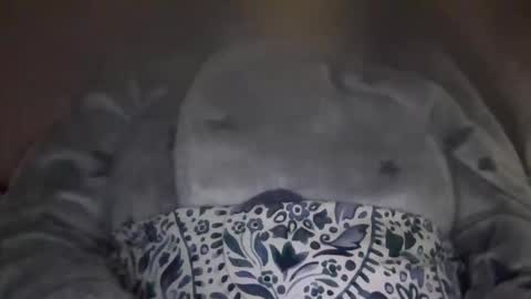 Snapshot of kissandtell1357 chatting on 24, 10, 2025 kissandtell1357 online show from 24, 10, 2025