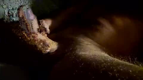 Snapshot of kitkat_loco1 chatting on 4, 11, 2025 Kitkat loco online show from 4, 11, 2025