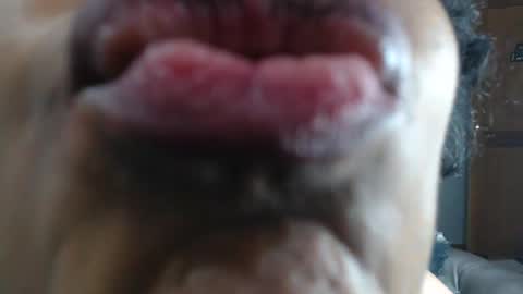 kitty online show from 23, 1, 2025