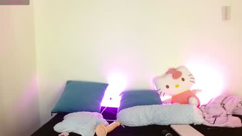 Snapshot of kittycatw chatting on 2, 1, 2025 LAURA help me reach 100likes online show from 2, 1, 2025