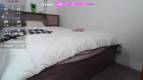 Kittyymaze online show from 8, 3, 2025