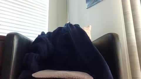 Snapshot of knightrider4324 chatting on 21, 12, 2024 knightrider4324 online show from 21, 12, 2024