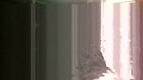 Snapshot of knock2wice1975 chatting on 26, 1, 2025 knock2wice1975 online show from 26, 1, 2025