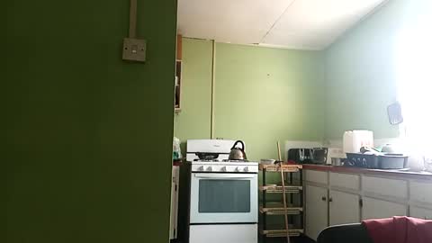 Snapshot of korn4lyfe chatting on 1, 3, 2025 Prince makonnen online show from 1, 3, 2025