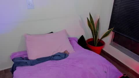 kornicovac online show from 29, 12, 2024