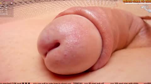 Petra online show from 3, 11, 2025