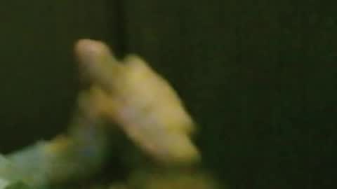 Snapshot of kren565656 chatting on 20, 10, 2025 kren565656 online show from 20, 10, 2025