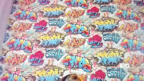 Snapshot of krysadapp chatting on 27, 11, 2025 Krys online show from 27, 11, 2025