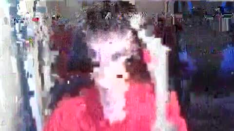 l1v1nth3dr3am online show from 13, 7, 2026