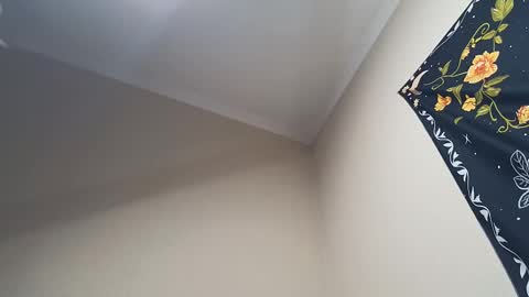 Snapshot of l_adonis_l chatting on 28, 2, 2025 Adonis online show from 28, 2, 2025