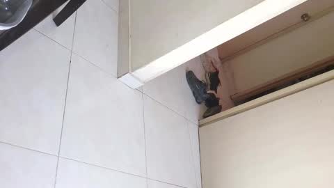 Bruno Smith online show from 20, 12, 2025