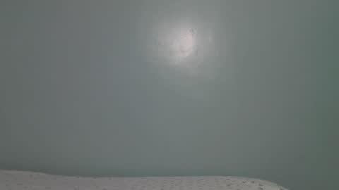 lady_dearra online show from 17, 1, 2026