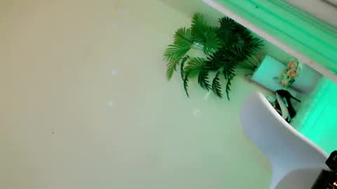 Snapshot of lady_in_black18 chatting on 28, 9, 2025 Stella online show from 28, 9, 2025