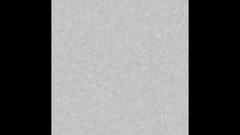  paola and a guest lol    online show from 12, 11, 2025