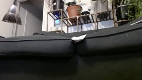 Snapshot of laidback_and_chill chatting on 23, 12, 2024 Rick online show from 23, 12, 2024