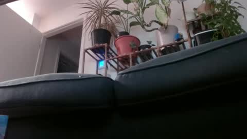 Snapshot of laidback_and_chill chatting on 1, 2, 2025 Rick online show from 1, 2, 2025