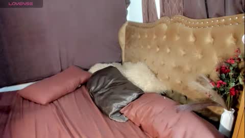 lisaa online show from 10, 9, 2025