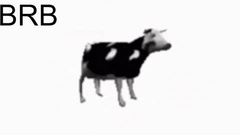 just call me Lana  and her security online show from 25, 1, 2025