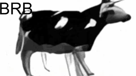 just call me Lana  and her security online show from 6, 2, 2025