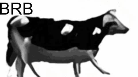 just call me Lana  and her security online show from 6, 2, 2025