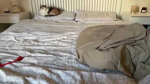 Snapshot of lana_inked chatting on 5, 2, 2025 Lana online show from 5, 2, 2025