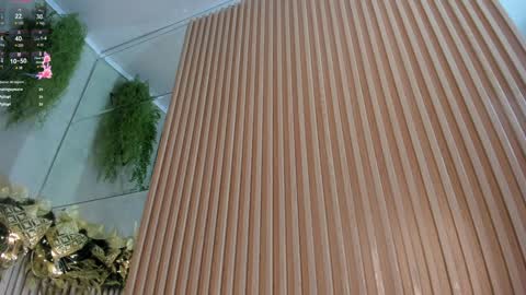 lana_lann online show from 28, 12, 2024