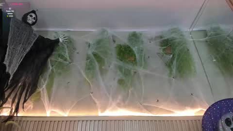 lana_lann online show from 30, 10, 2025