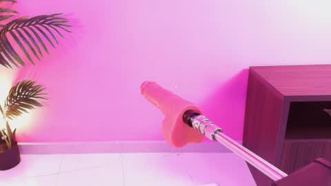 LANA online show from 2, 3, 2026