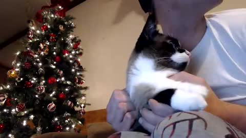 Snapshot of lancehardin chatting on 30, 12, 2024 Lance online show from 30, 12, 2024