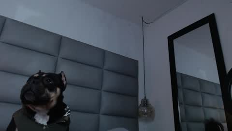 lara online show from 31, 12, 2024