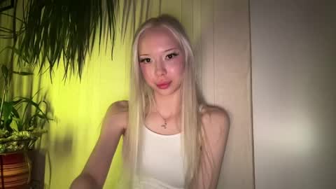 Stella online show from 24, 5, 2026