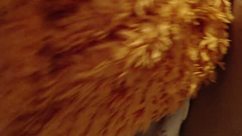 laralhotr online show from 26, 12, 2024