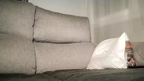 Snapshot of lascivo85 chatting on 7, 12, 2024 Alessandro online show from 7, 12, 2024