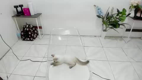 Kendra online show from 19, 2, 2026