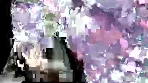 latexchris77 online show from 10, 1, 2026