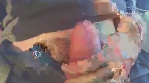 joseph online show from 29, 11, 2025