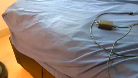 Snapshot of latinhot202423 chatting on 16, 11, 2025 blackBear online show from 16, 11, 2025